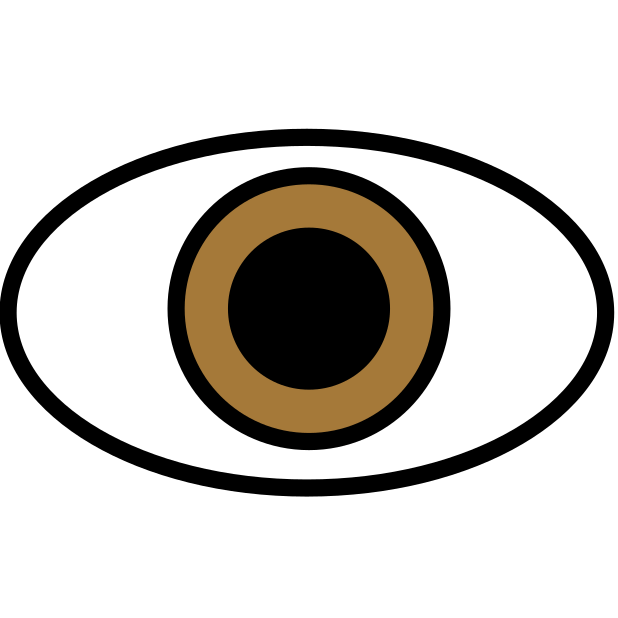 eye transparent PNG icon, color version, 618 by 618 pixels