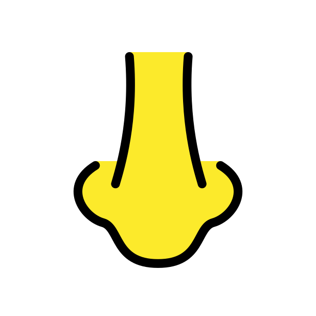 nose transparent PNG icon, color version, 618 by 618 pixels