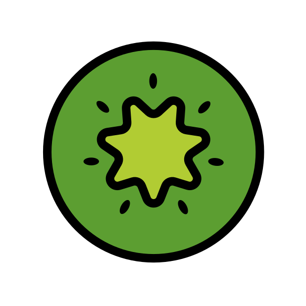 kiwi fruit transparent PNG icon, color version, 618 by 618 pixels