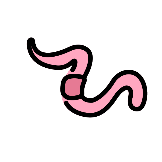 worm transparent PNG icon, color version, 618 by 618 pixels