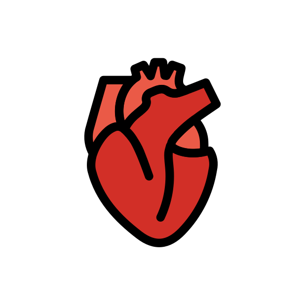 anatomical heart transparent PNG icon, color version, 618 by 618 pixels