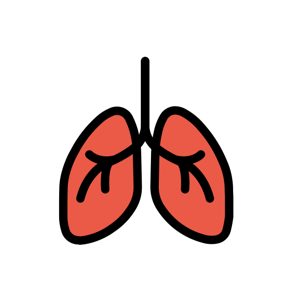 lungs transparent PNG icon, color version, 618 by 618 pixels
