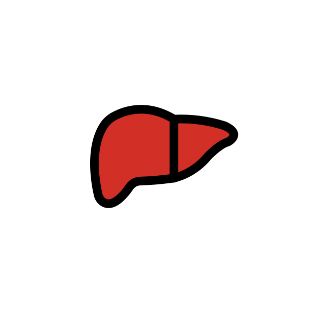 liver transparent PNG icon, color version, 618 by 618 pixels