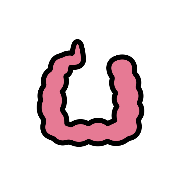large intestine transparent PNG icon, color version, 618 by 618 pixels