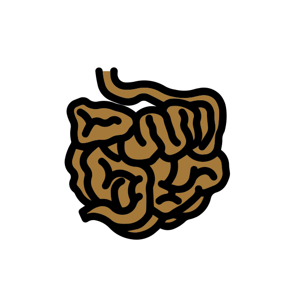 intestine transparent PNG icon, color version, 618 by 618 pixels