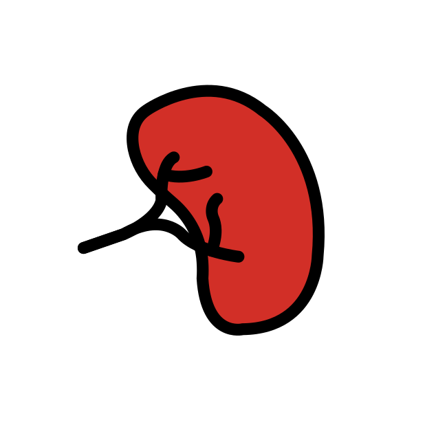 kidney transparent PNG icon, color version, 618 by 618 pixels