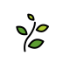 herb transparent PNG icon