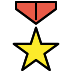 military medal transparent PNG icon