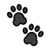 paw prints transparent PNG icon