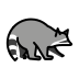 raccoon transparent PNG icon