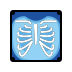 x-ray transparent PNG icon