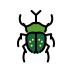 beetle transparent PNG icon