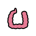 large intestine transparent PNG icon