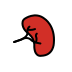 kidney transparent PNG icon